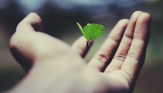 Third Culture Africa How To Recognise Personal Development And Growth a hand in a black background holding a green growing plant
